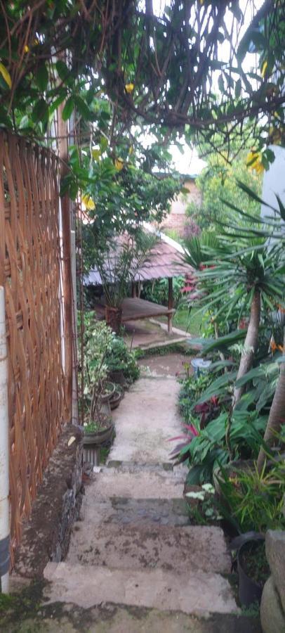 Bayan Akria Bed And Breakfast מראה חיצוני תמונה